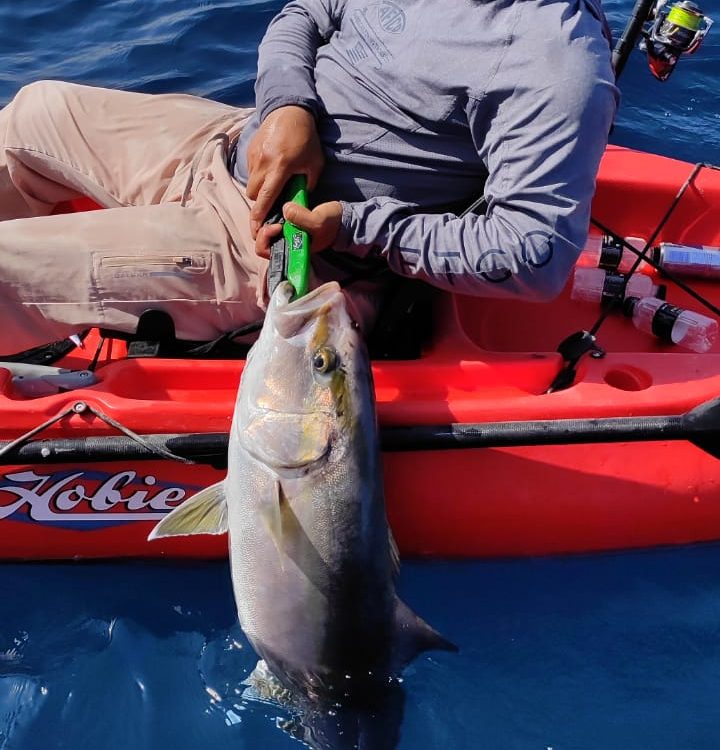 Fly Fishing