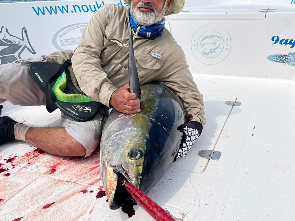 Tuna Fishing