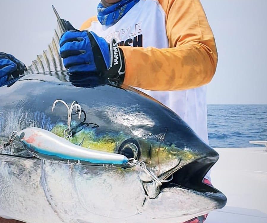Tuna Fishing