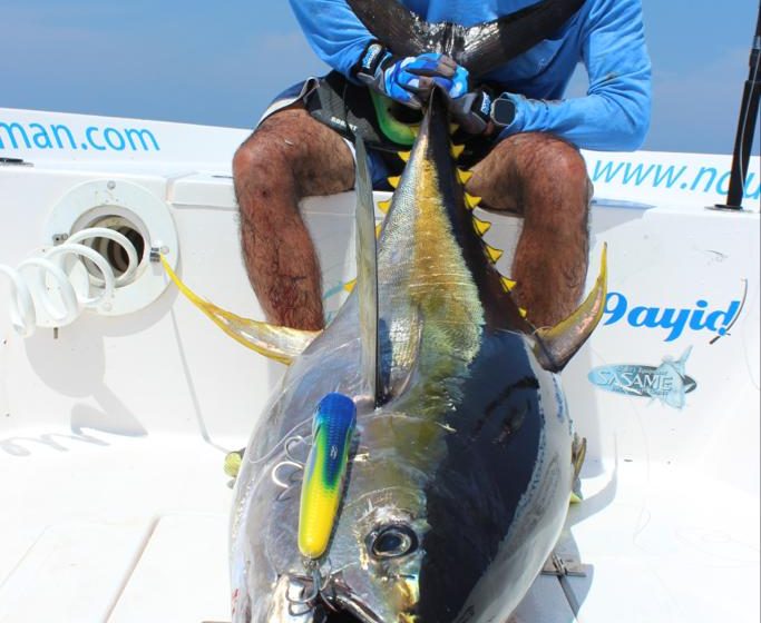 Light Tackle