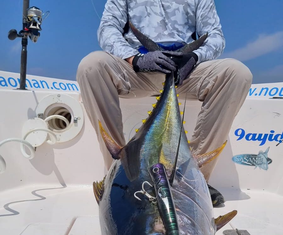 Jigging
